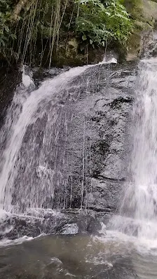 Foto 4 de Trilha Cachoeira da Graça
