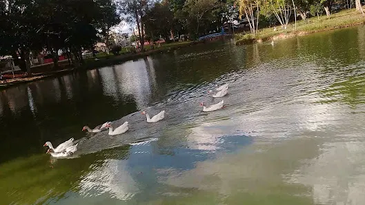 Foto 4 de Parque Lagoa dos Pássaros