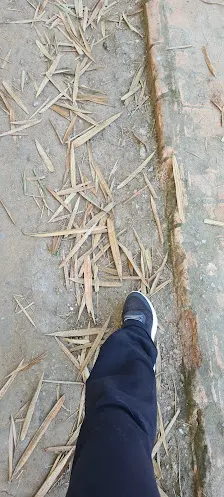 Foto 3 de Parque Piqueri