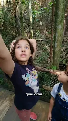 Foto 11 de Jardim Botânico de São Paulo