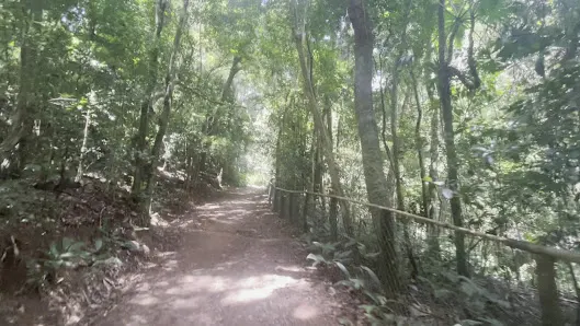 Foto 4 de Parque Alfredo Volpi