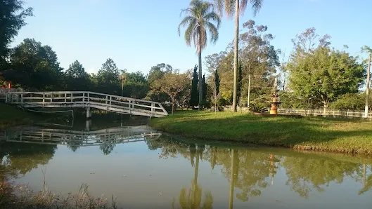 Foto 6 de Parque Ecológico Mario do Canto