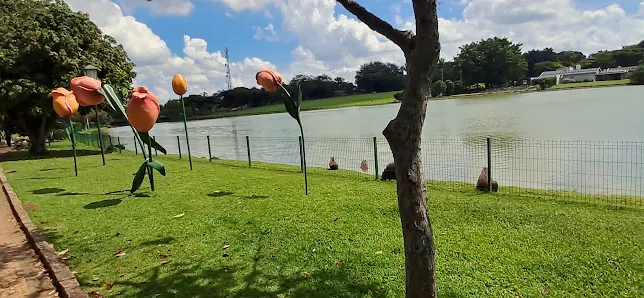 Foto 3 de Lago Vitória Régia