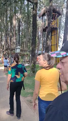 Foto 4 de Parque Van Gogh