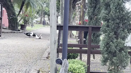Foto 4 de Nossa Prainha