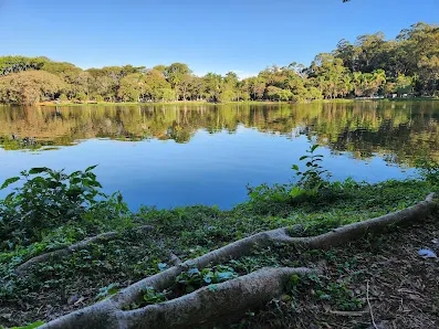 Foto 5 de Pavilhão Japonês