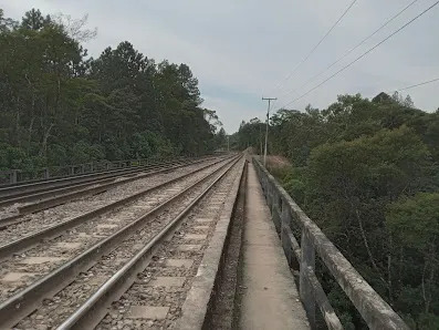Foto 3 de Ribeirão dos Monos