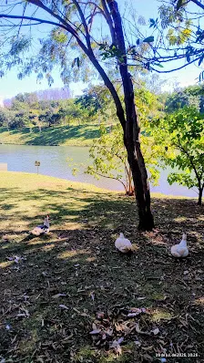 Foto 3 de Parque dos Jacarandás