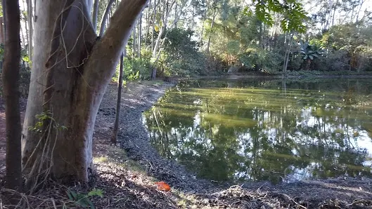 Foto 4 de Parque Piqueri