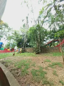 Foto 7 de Cidade da Criança
