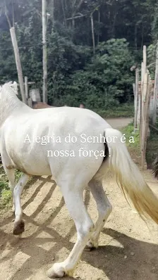 Foto 4 de Rancho do Pão
