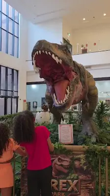 Foto 3 de T-Rex Park