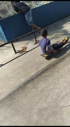 Foto 4 de Parque Takebe