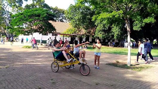 Foto 5 de Parque Trote