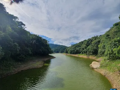 Foto 2 de Parque Estadual Cantareira - Núcleo Engordador
