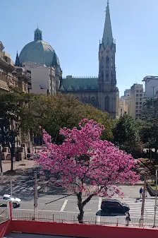 Foto 3 de Cripta da Catedral da Sé