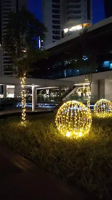 Foto 7 de Parque da Cidade - Torre Tarumã