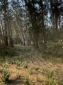 Foto 3 de Área de Proteção Ambiental Parque e Fazenda do Carmo