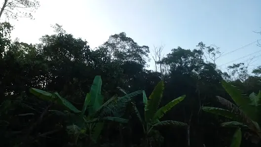 Foto 9 de Vivência Na Natureza. Camping. Caiçara Roots. Chácara