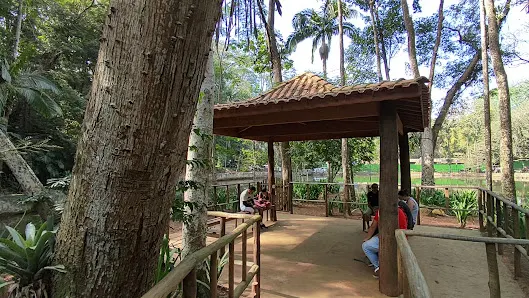 Foto 4 de Parque Estadual Jaraguá