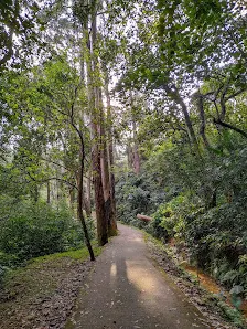 Foto 2 de Parque Ecológico do Jardim Bonança