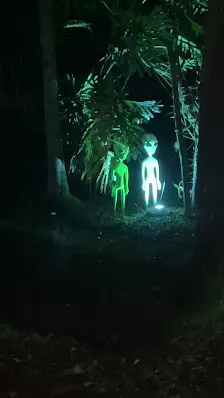 Foto 5 de Cabanas na Mata em Socorro