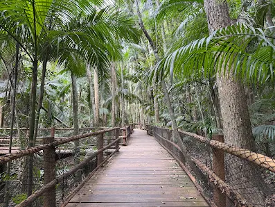 Foto 9 de Jardim Botânico de São Paulo