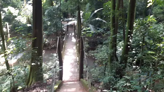 Foto 4 de Zoobosque