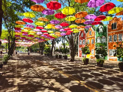Foto 3 de Guarda-chuvas de Holambra