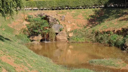 Foto 4 de Parque da Cidade