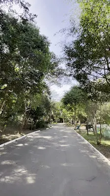 Foto 4 de Parque Ecológico Dionísio Alvarez Mateos