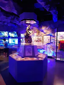Foto 4 de Museu da Imagem e do Som (MIS) - São Paulo