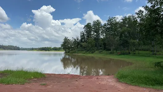 Foto 4 de Horto Florestal Sumaré-SP