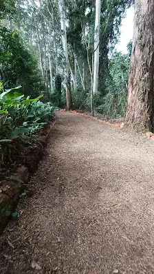 Foto 4 de Parque Ecológico Chico Mendes