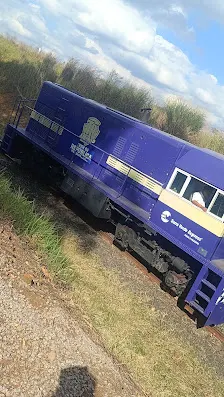 Foto 3 de Trem da República de Salto