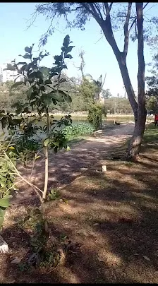 Foto 4 de Parque Ecológico - Ilha do Tamboré