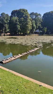 Foto 4 de Parque Horto Florestal - Portões 1 e 2