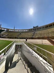 Foto 8 de Museu do Futebol
