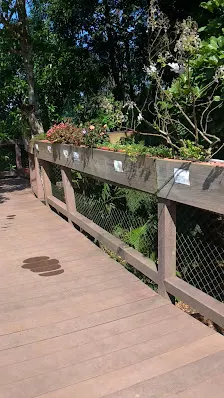 Foto 4 de Parque Ecológico Imigrantes