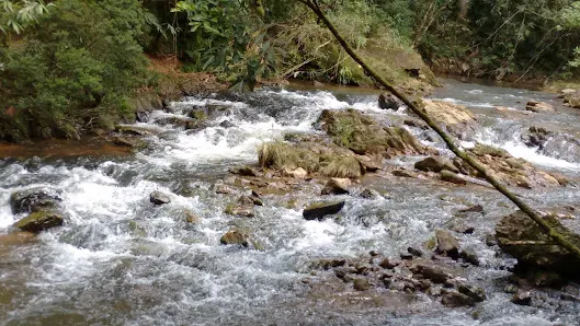 Foto 5 de Ribeirão dos Monos