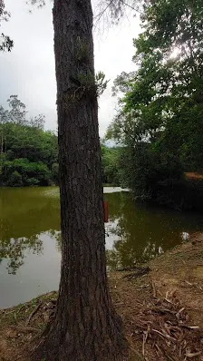Foto 8 de Camping Recanto da Cachoeira