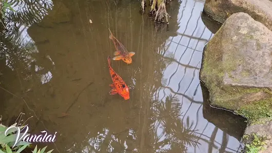 Foto 5 de Jardim Botânico de São Paulo