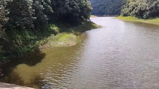 Foto 4 de Parque Estadual Cantareira - Núcleo Engordador