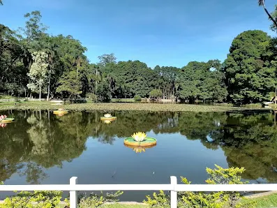 Foto 2 de Parque Horto Florestal - Portões 1 e 2