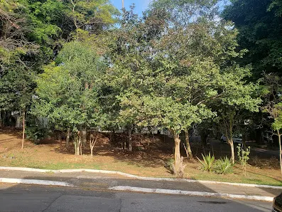 Foto 2 de Praça Marcelino Bressiani