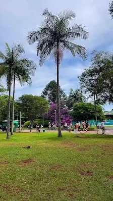 Foto 10 de Oca - Parque Ibirapuera