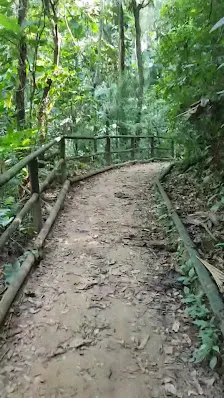 Foto 4 de Trilha do Silêncio