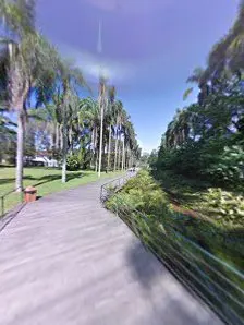 Foto 12 de Jardim Botânico de São Paulo