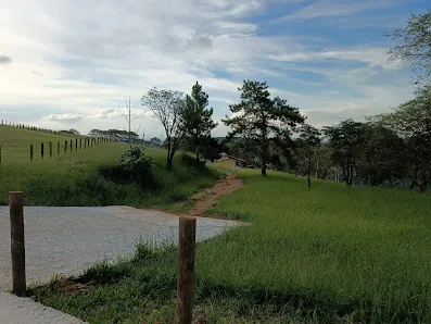 Foto 5 de Camping & parking