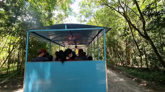 Foto 5 de Trem Turístico - Parque Ecológico
